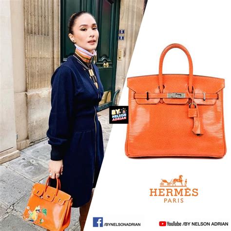 himalayan hermes heart evangelista|heart hermes bag.